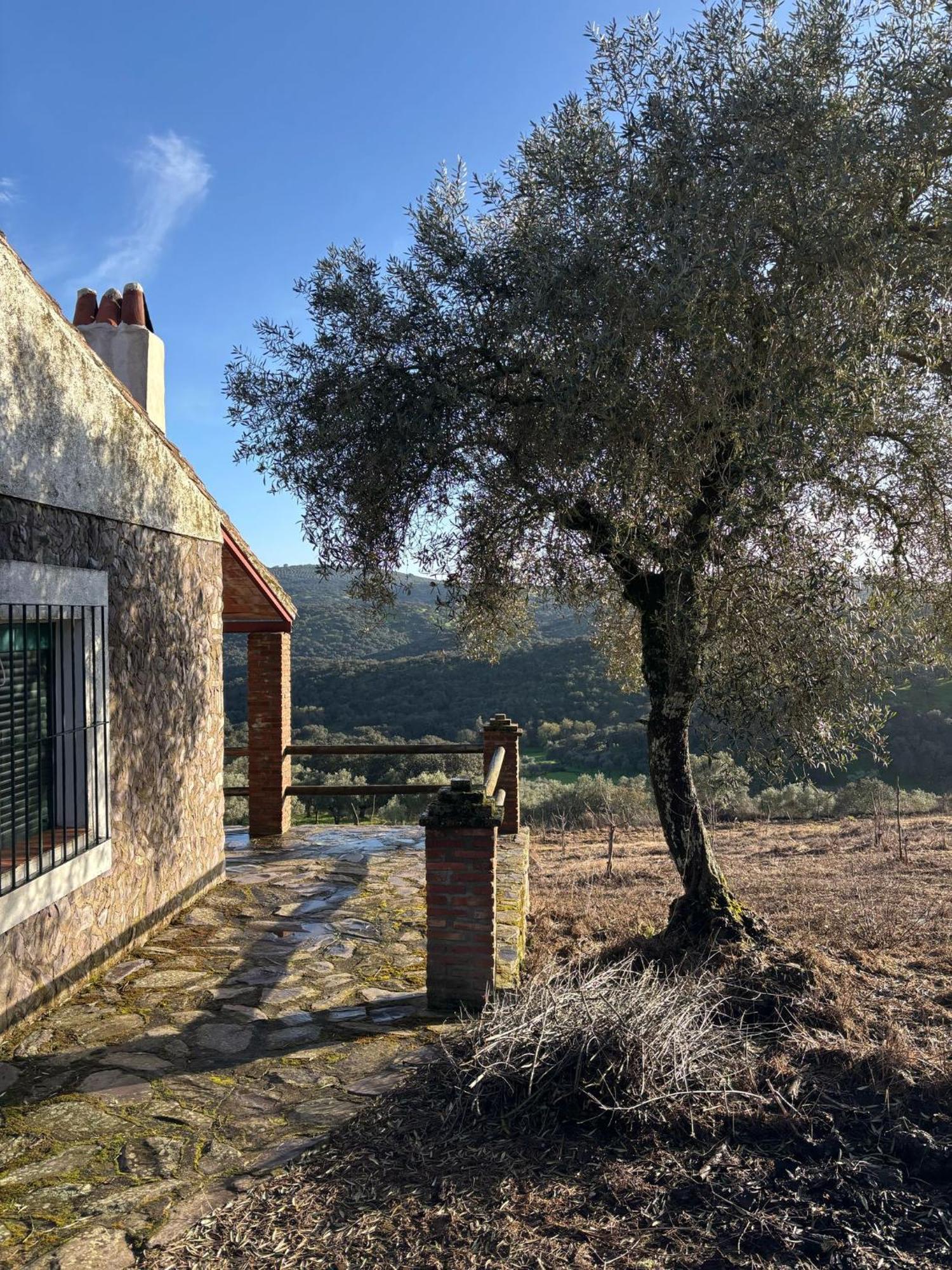 Casas Rurales Los Llanos Fuentes De Leon Exterior photo