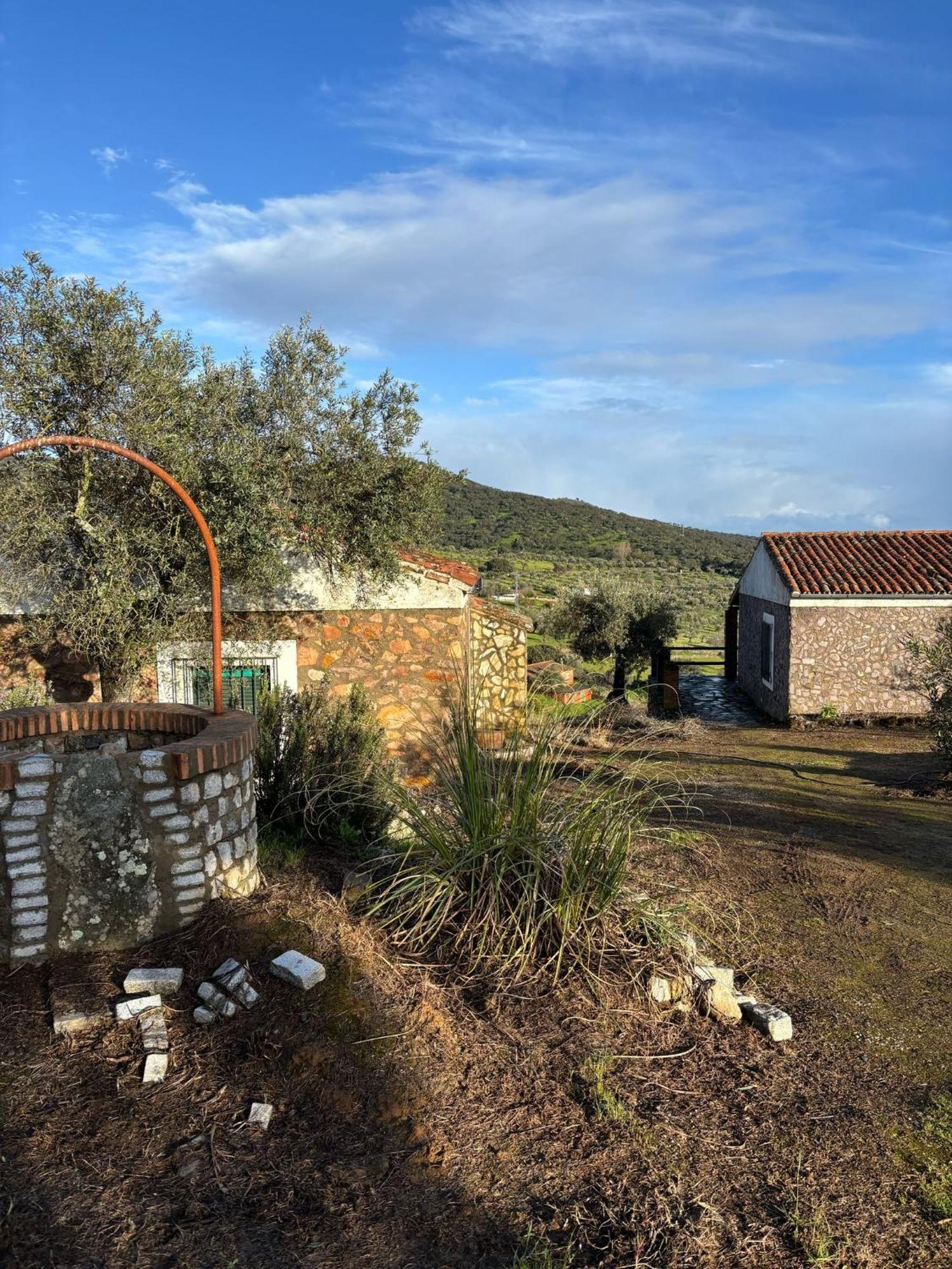 Casas Rurales Los Llanos Fuentes De Leon Exterior photo